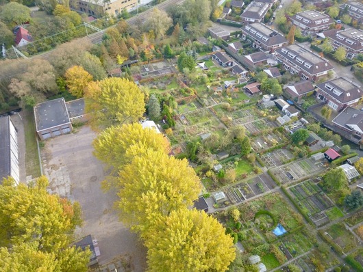 Volkstuinen ten noorden van Kennemerpark - Overveen